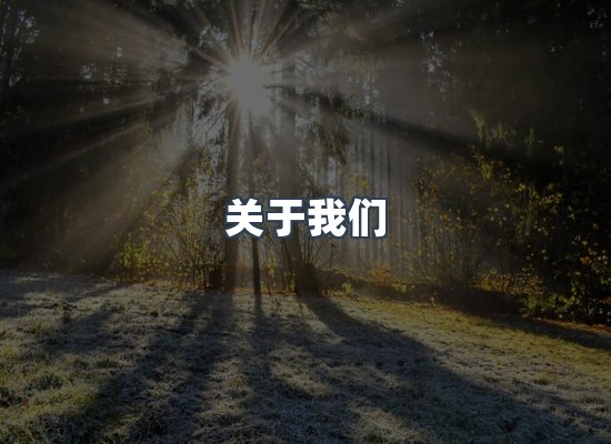 关于我们